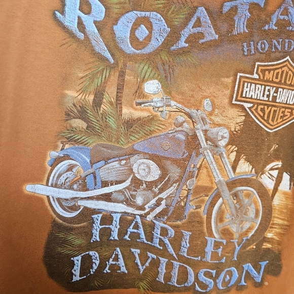 Harley Davidson Rust Grapic T-Shirt Plus Size - Picture 3 of 6